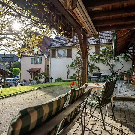 Zum Torkelhaus Guest house Sipplingen