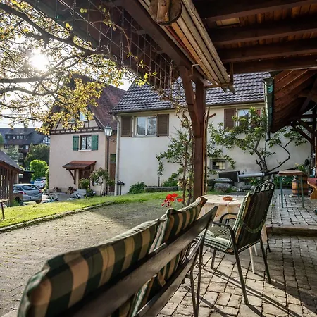 Zum Torkelhaus 3* Sipplingen