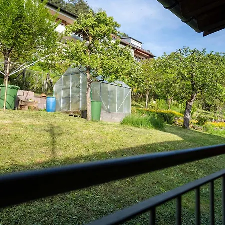 Affittacamere Zum Torkelhaus Sipplingen